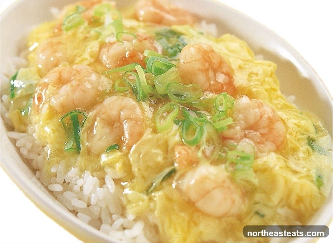 Shrimp and Egg Over Rice