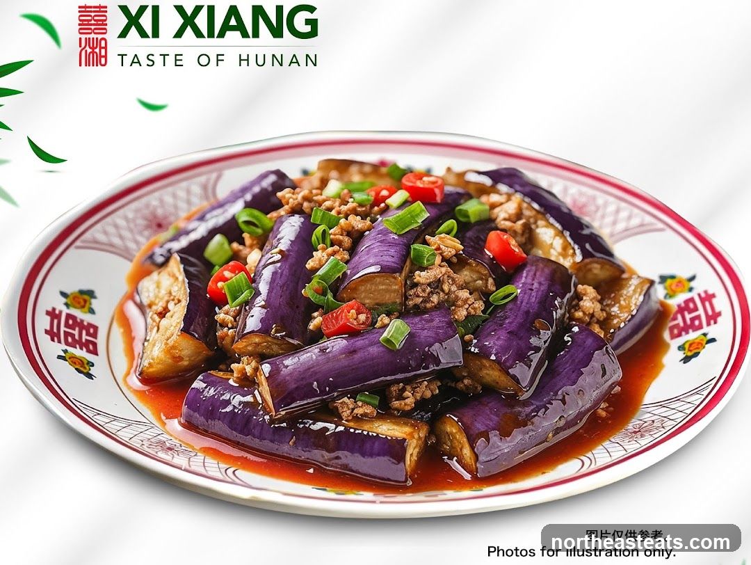 Xi Xiang Taste of Hunan Eggplant Dish