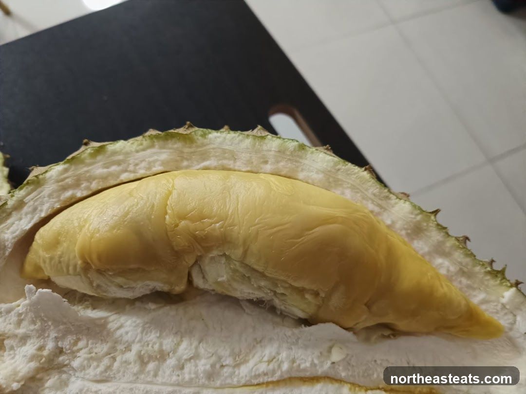 Durian Fruit
