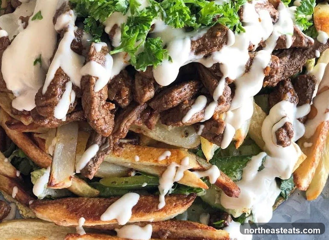 Beef and Fries