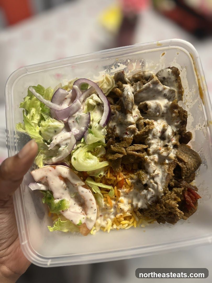 Takeout container with meat, rice, and salad