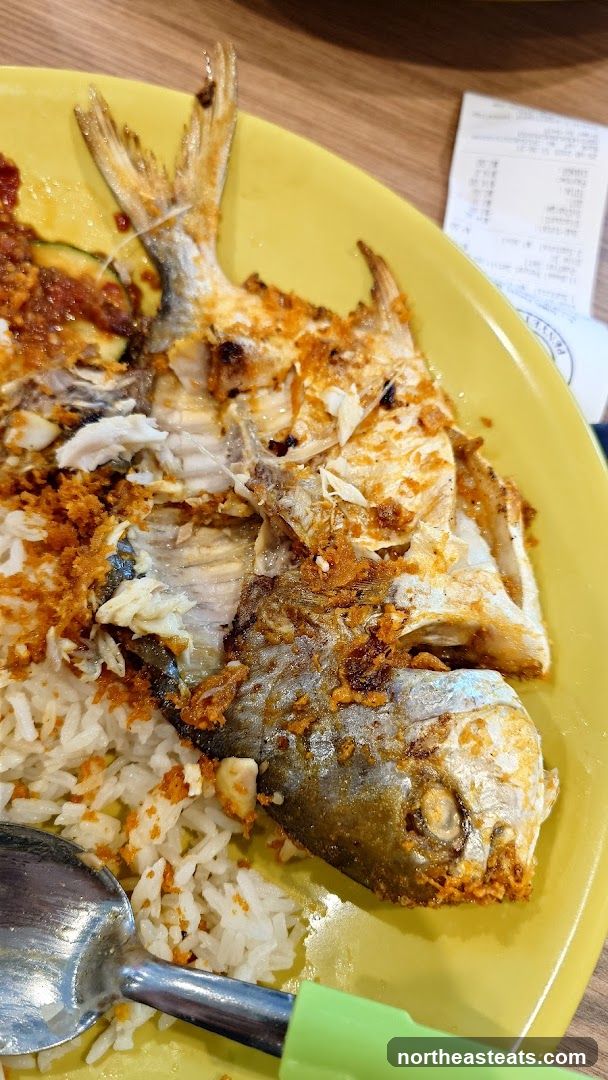 Fish and Rice