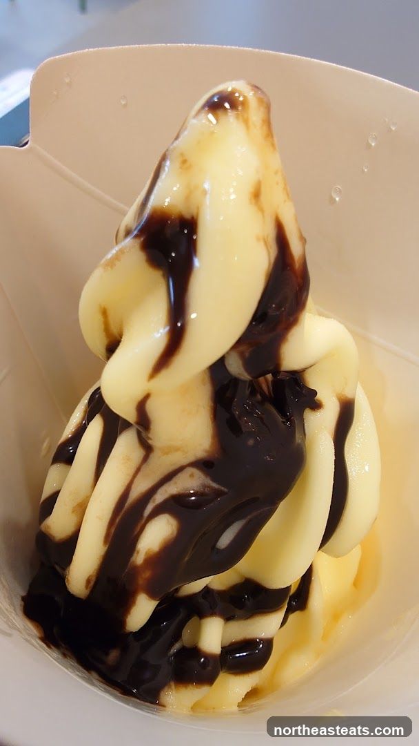 Soft Serve Ice Cream with Chocolate Syrup
