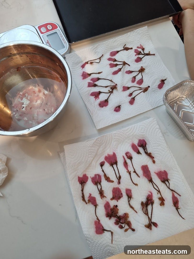 Drying Cherry Blossoms