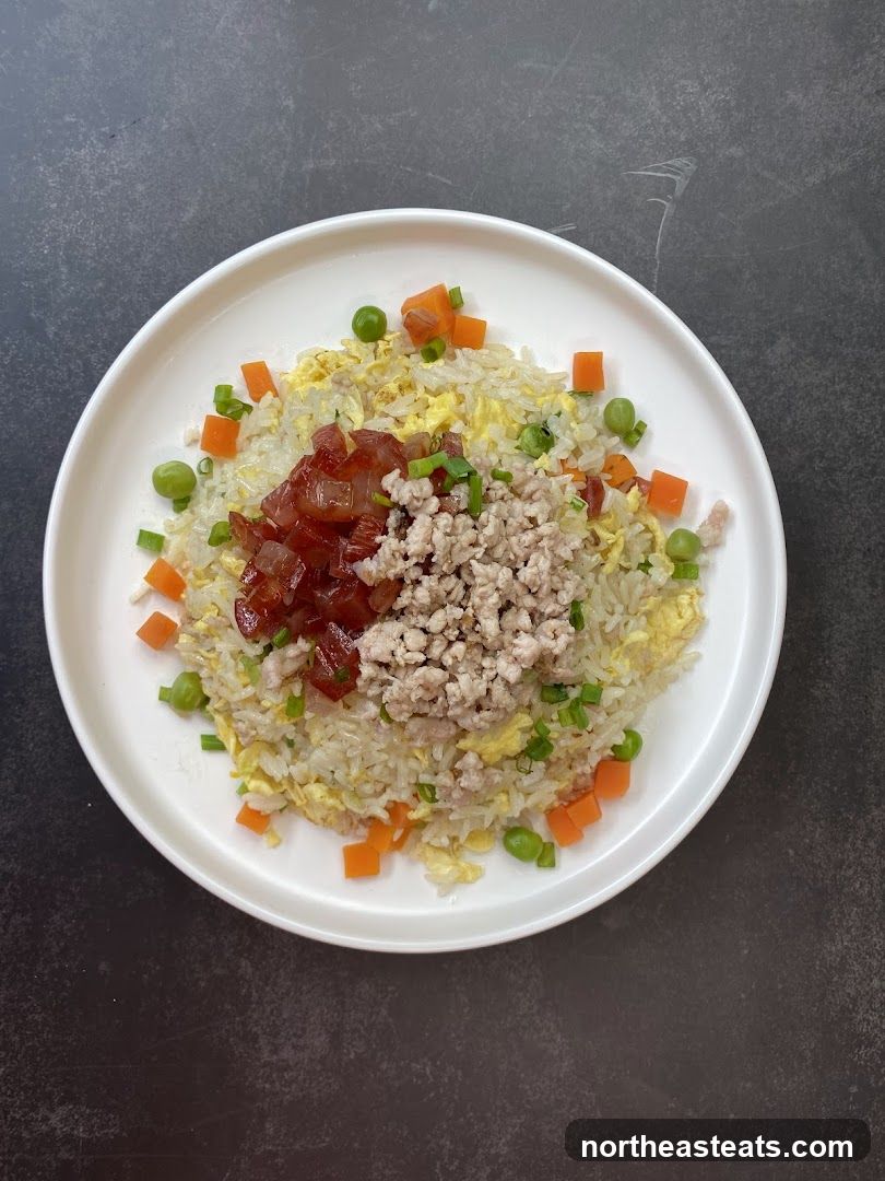 Fried Rice with Toppings