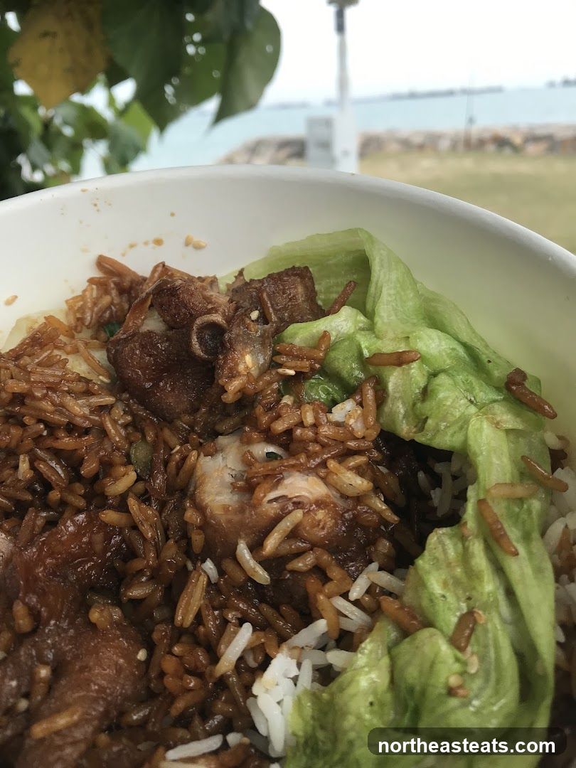 Rice and Meat Dish