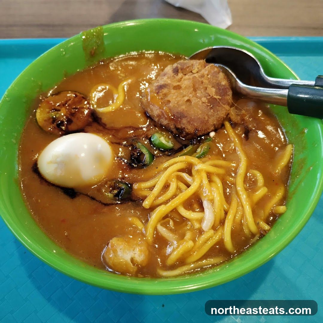 Noodle Soup with Egg and Patty