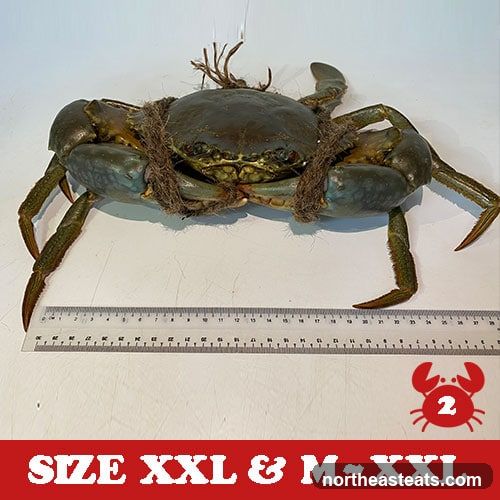 YYF CRABS