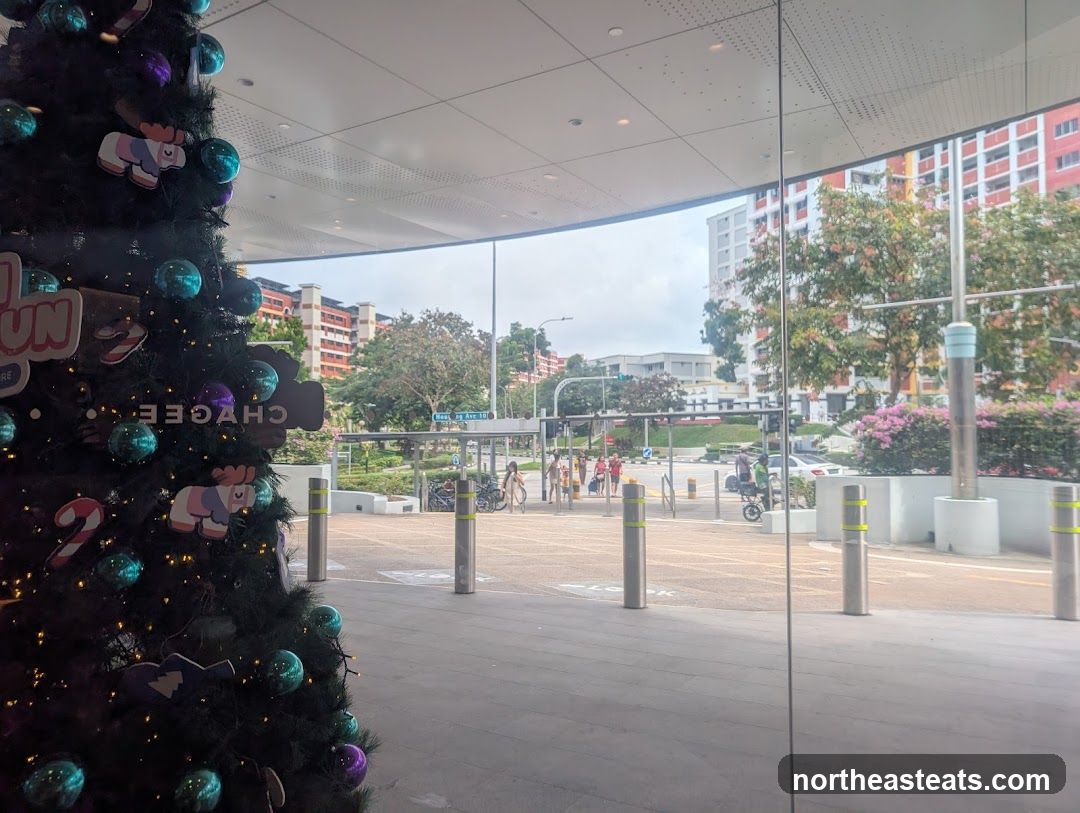 Christmas Tree and Street View