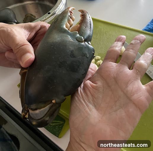 Giant Crab Claw and Hand