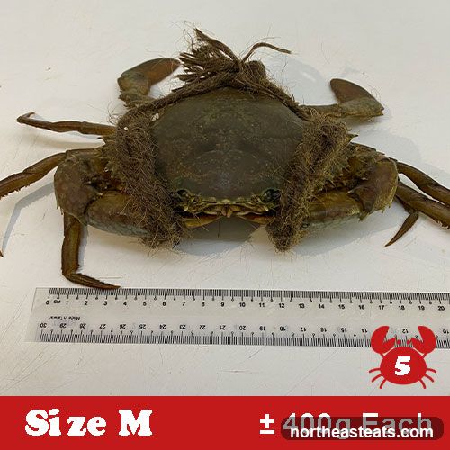 Crab with twine