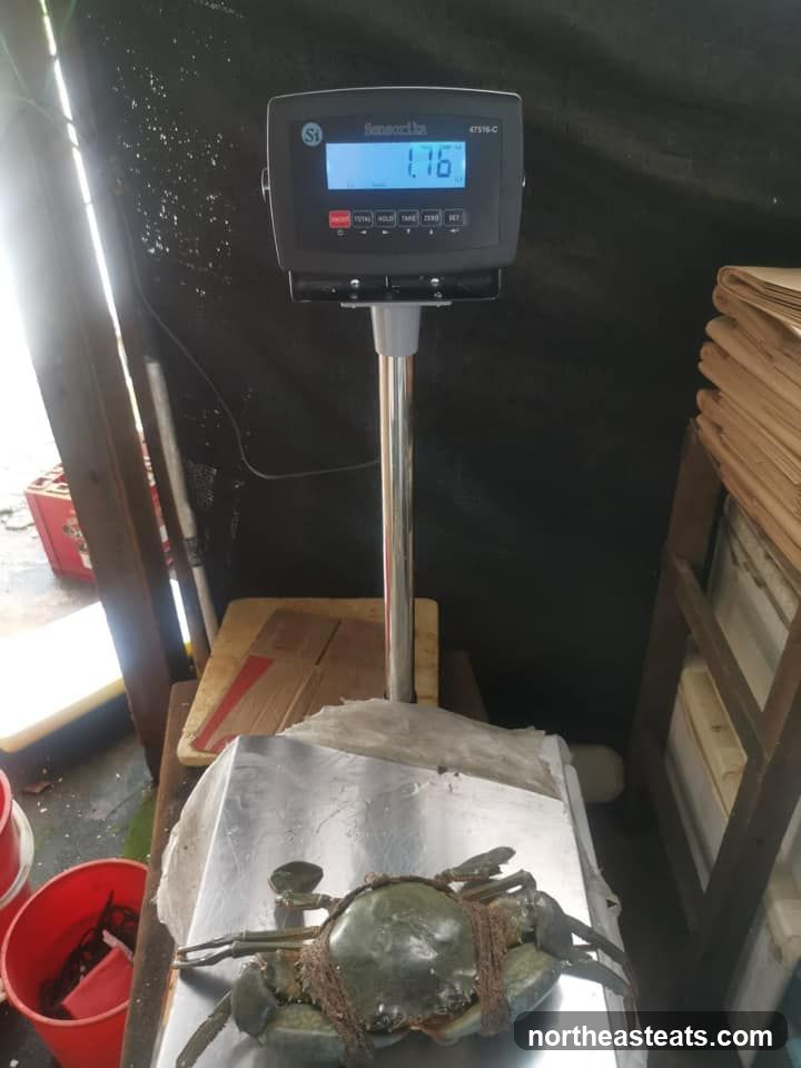 Crab on a scale