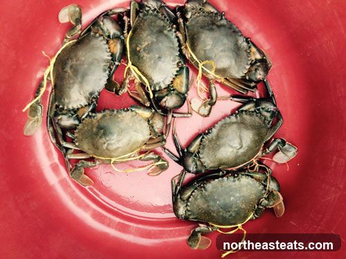 Crabs in a Bucket