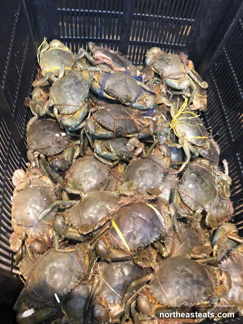 Crabs in a Crate