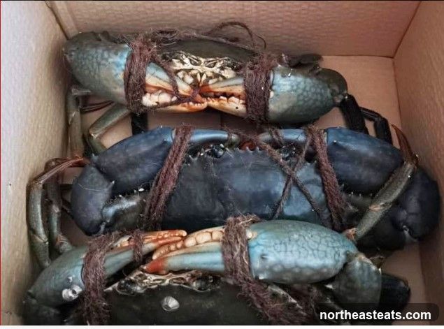 Crabs in a Box