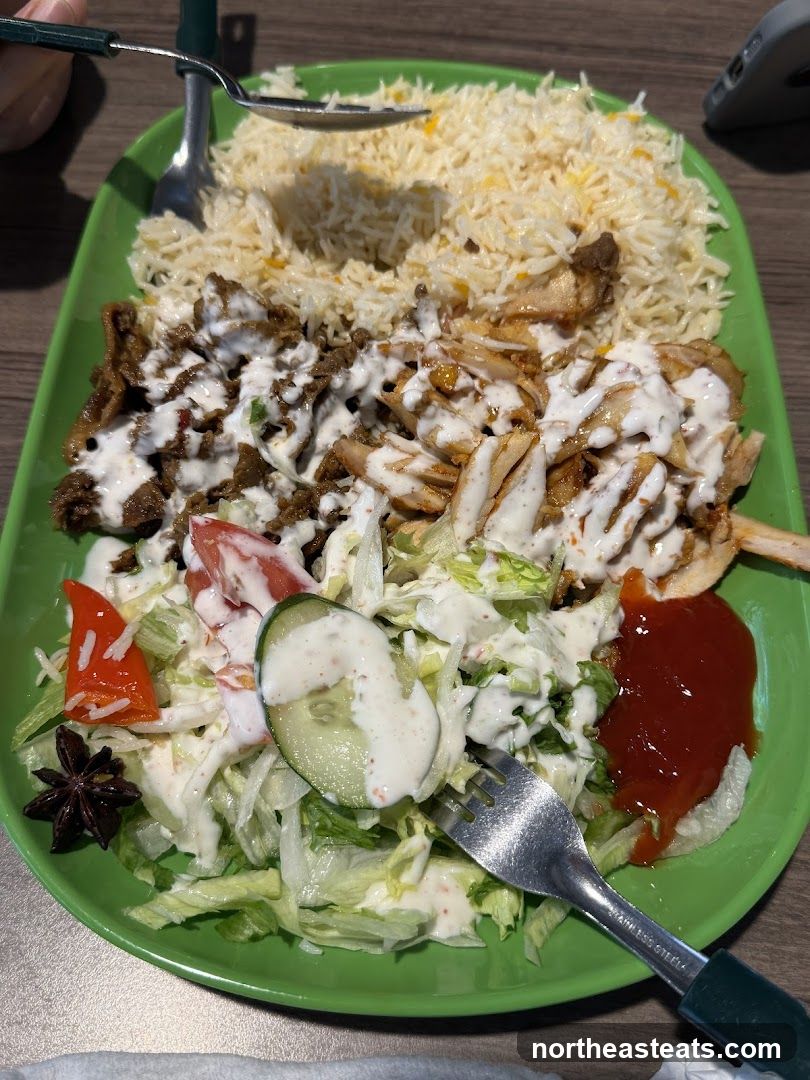 Plate of Rice with Meat and Salad