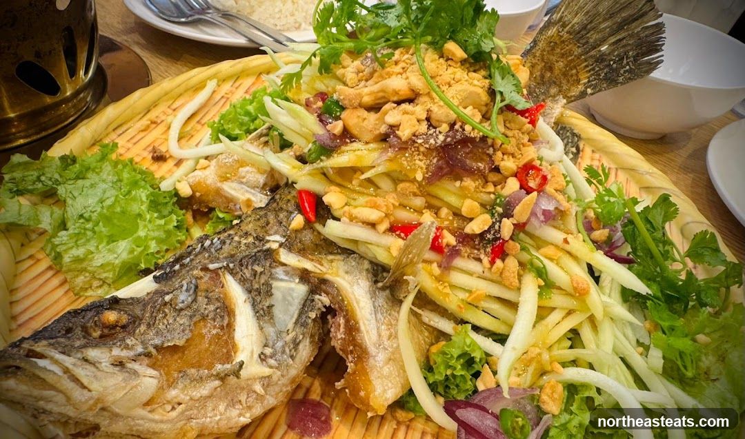 Fried Fish with Mango Salad