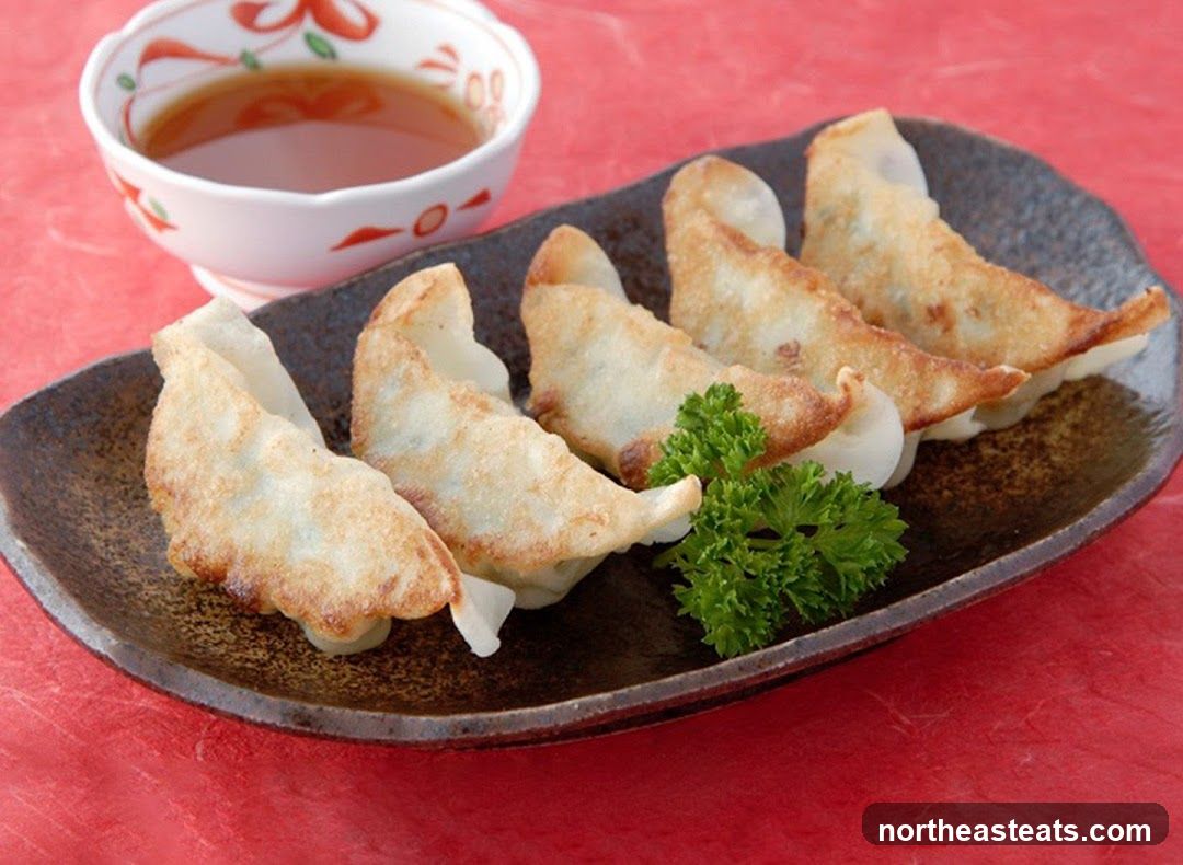 Pan-fried dumplings with dipping sauce