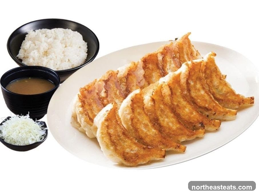 Gyoza Set