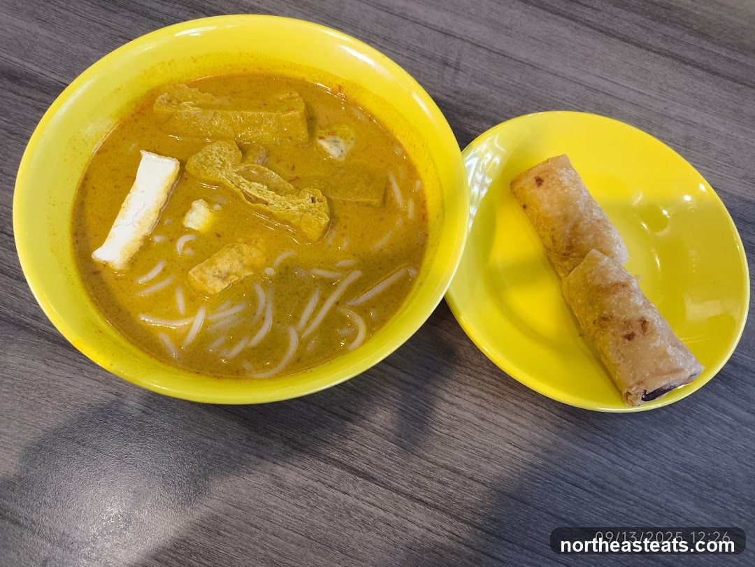 Curry Noodles and Spring Rolls