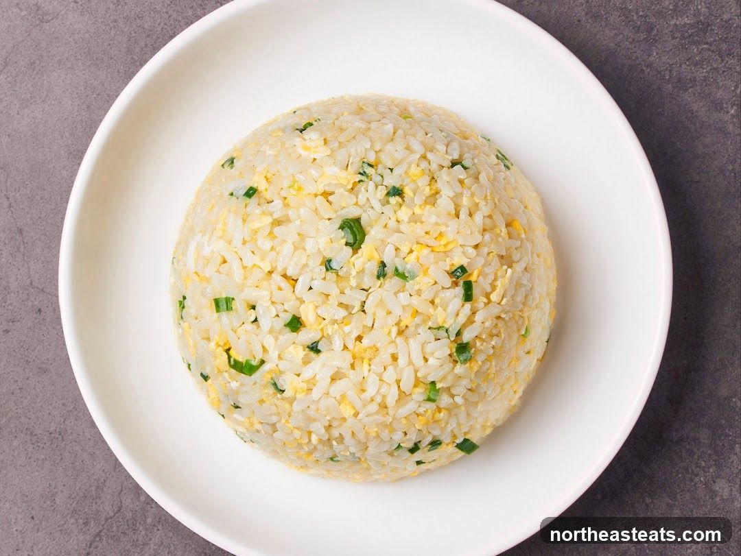 Fried Rice
