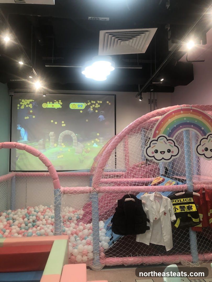 Indoor Playground with Ball Pit and Costumes