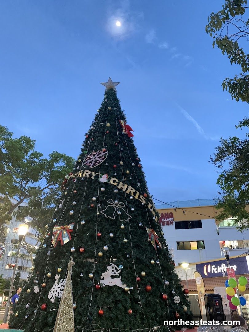 Christmas Tree Display