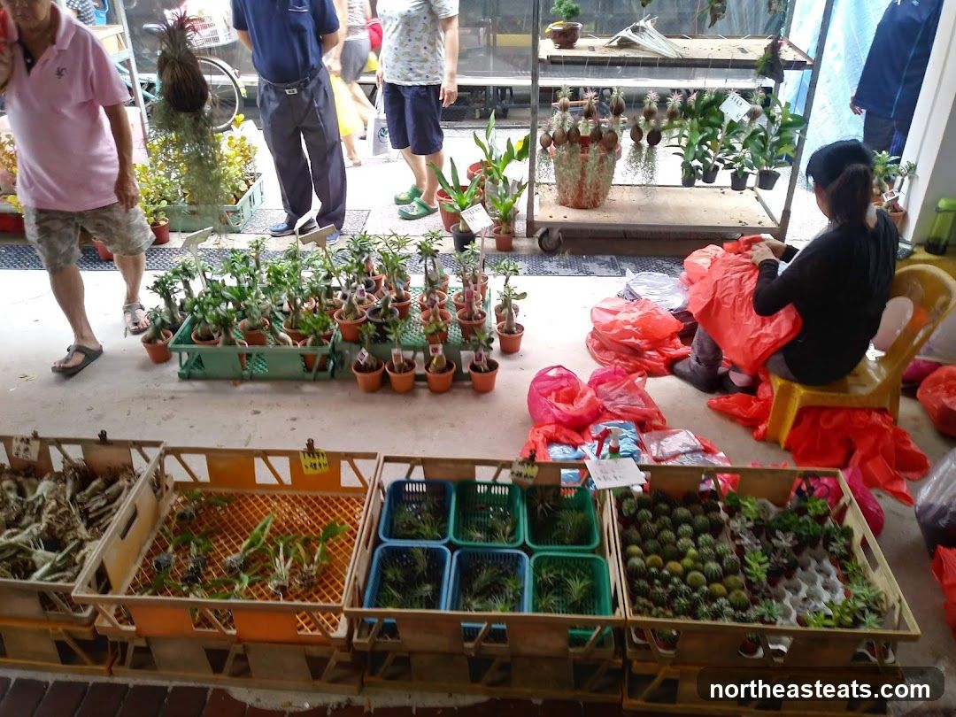 Outdoor Plant Market