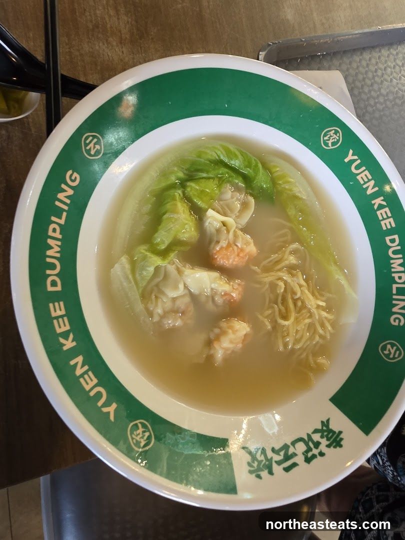 Wonton Noodle Soup