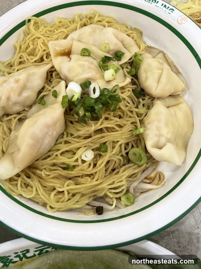 Dumpling Noodles