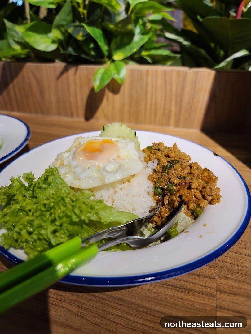 Thai Basil Stir-fry with Rice and Fried Egg