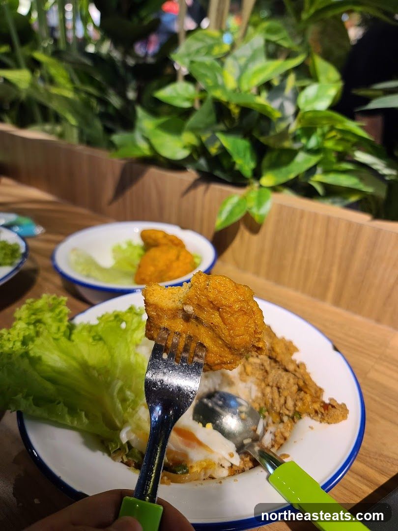 Fried Food with Rice and Salad