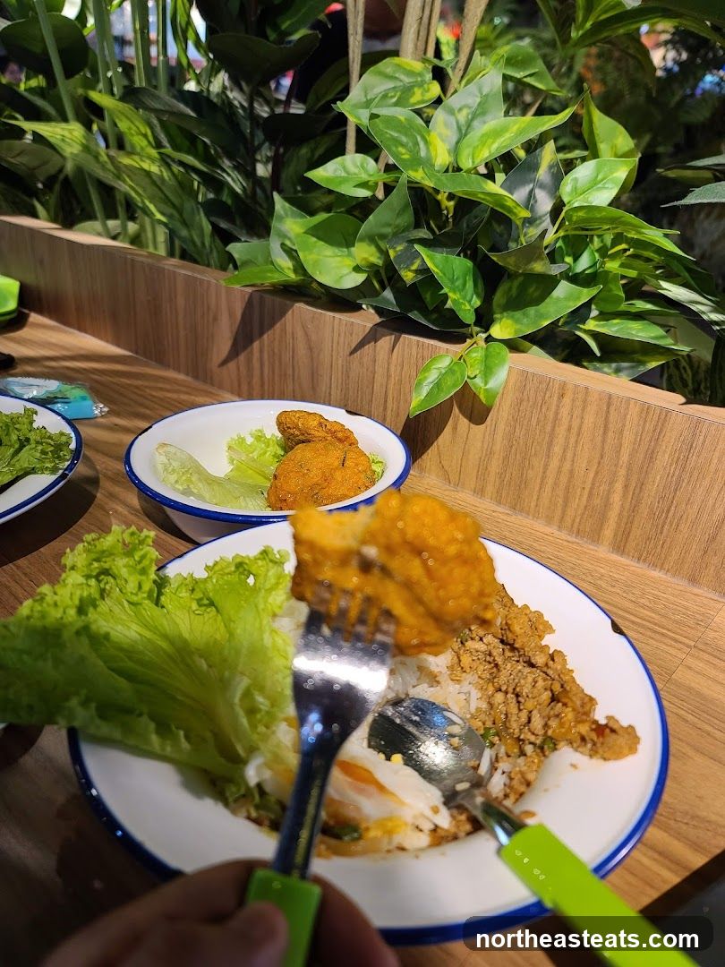 Meal with Fried Chicken and Rice