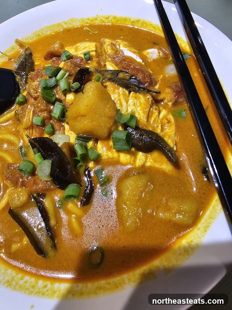 Curry Noodle Soup