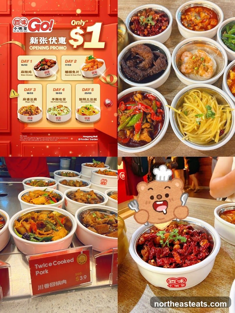 Bai Wei Xiao Wan Cai Opening Promotion