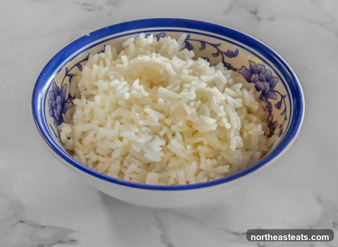 Bowl of Rice