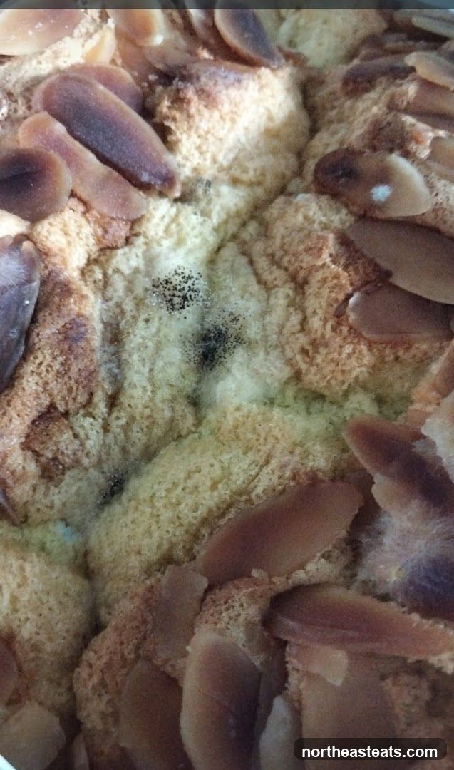 Moldy Cake