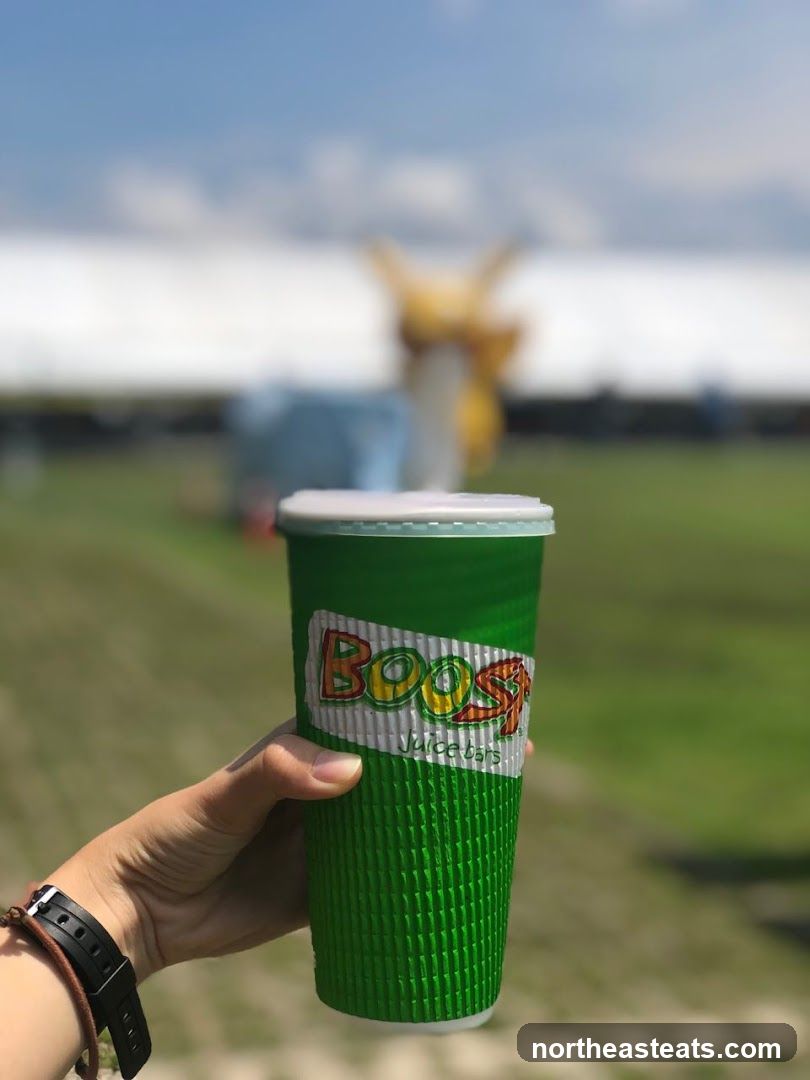 Boost Juice Cup