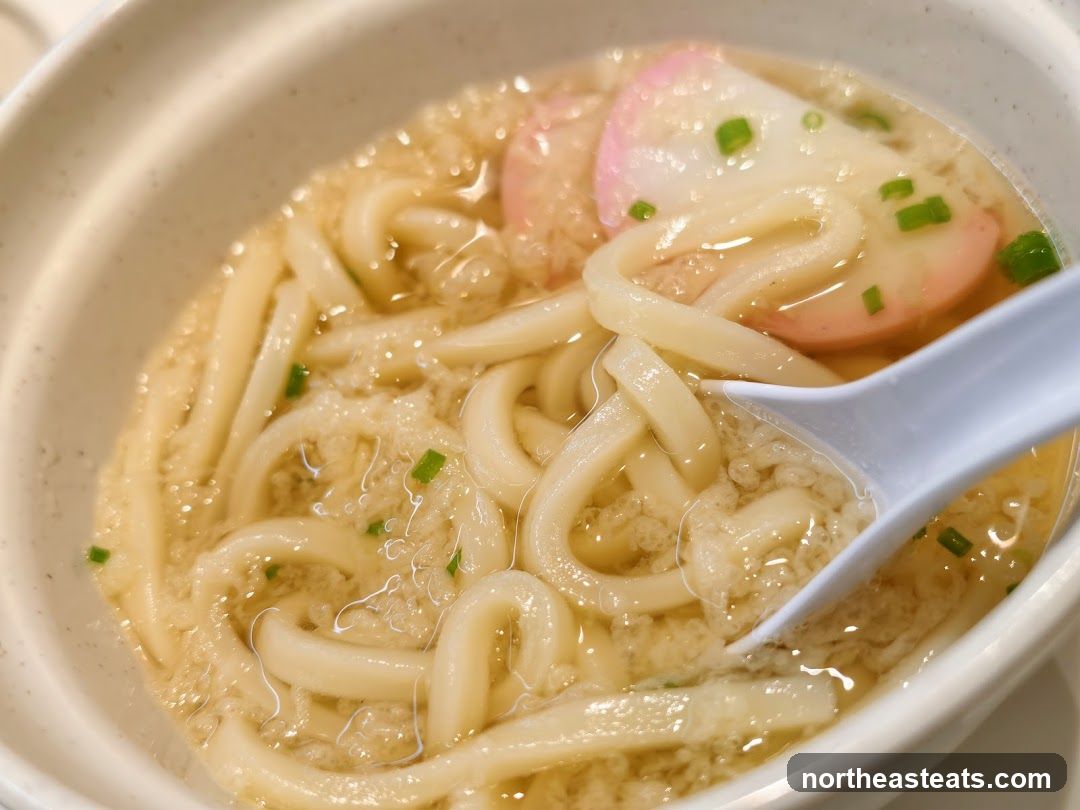 Udon Soup