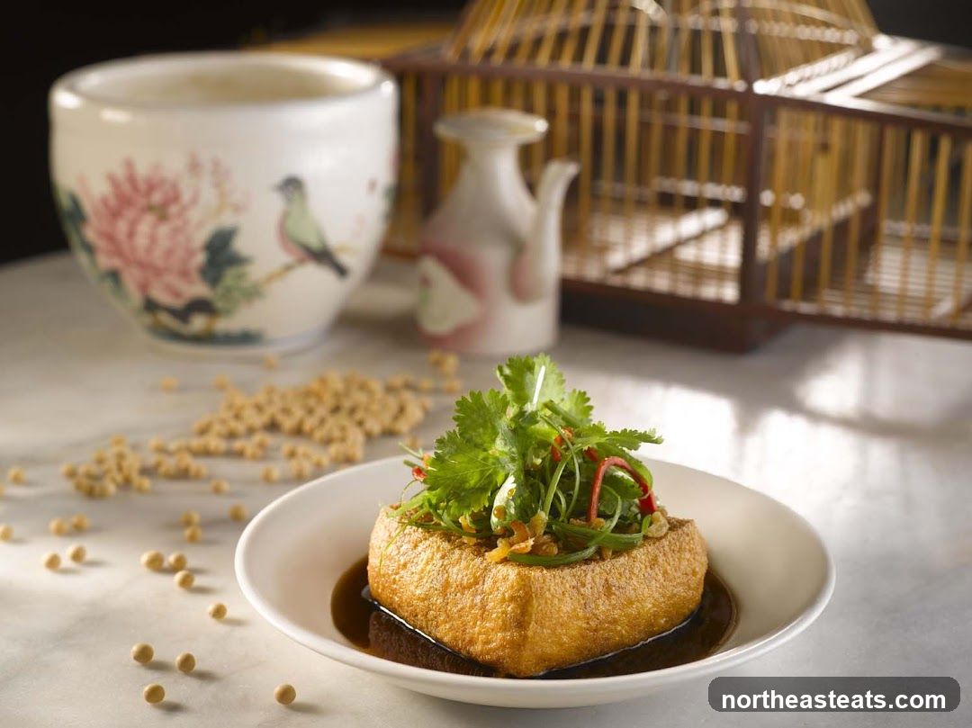 Fried Tofu Dish