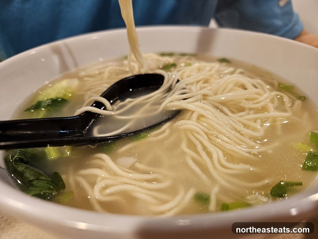 Noodle Soup