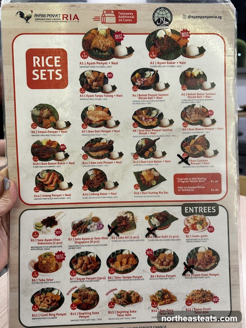 AYAM PENYET RIA