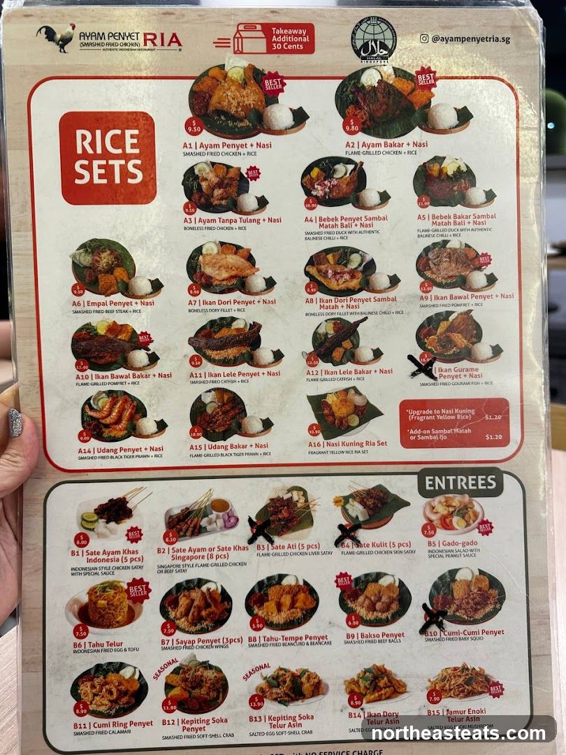 AYAM PENYET RIA MENU