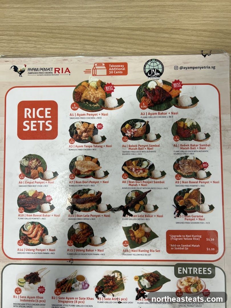 AYAM PENYET RIA