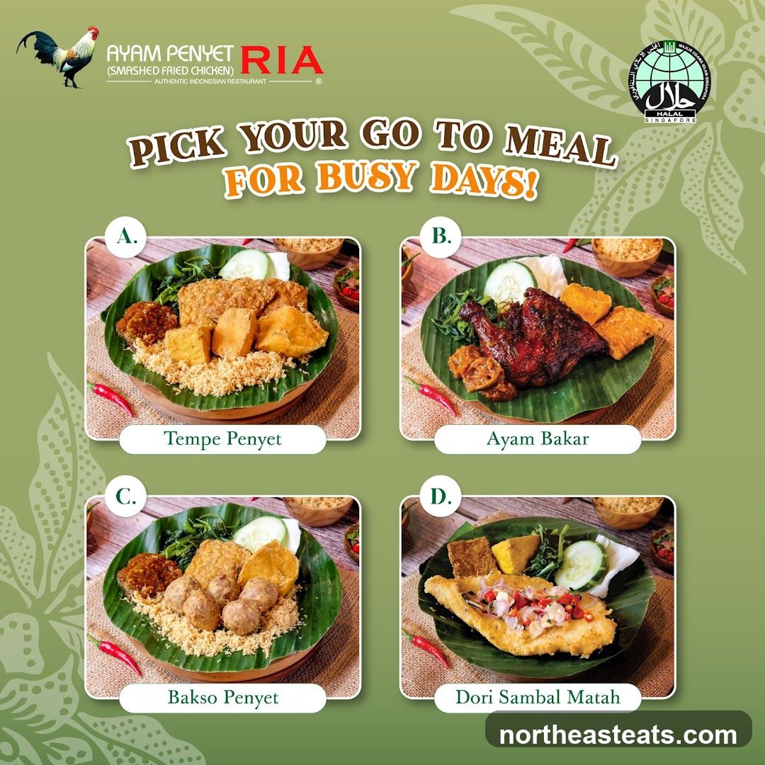Ayam Penyet Ria Menu