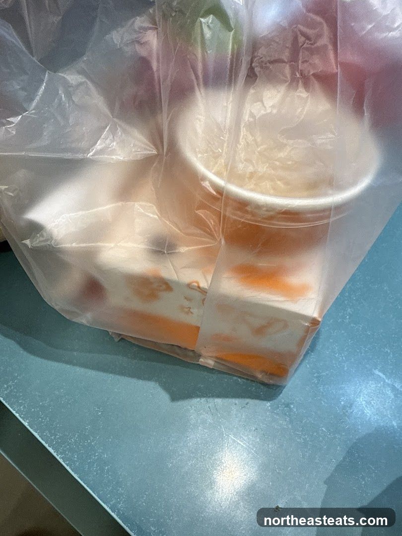 Takeout Bag with Food