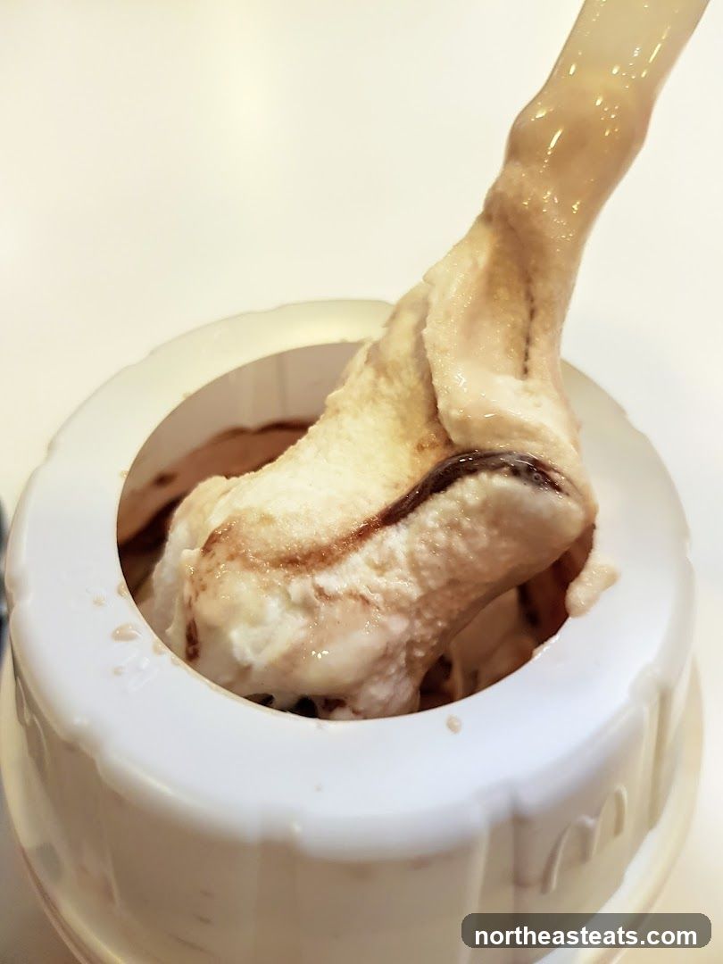 Ice Cream Being Scooped