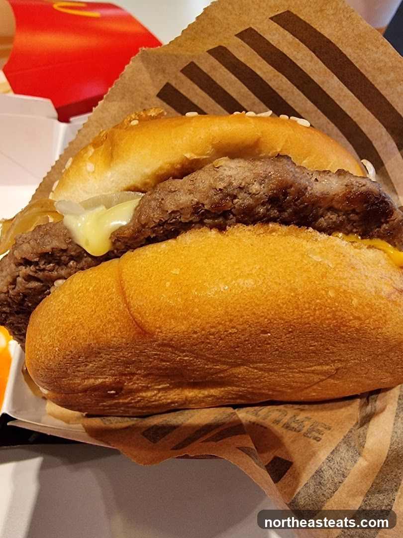 Burger and Fries Packaging