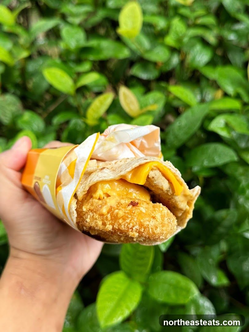 Chicken Wrap with Cheese