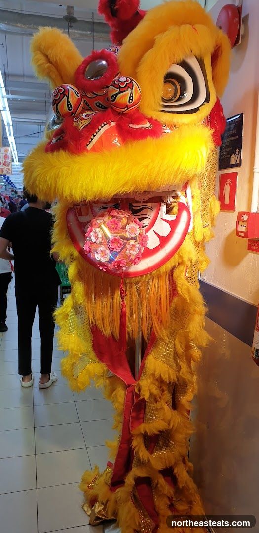 Lion Dance Costume